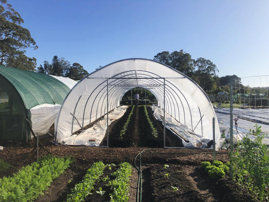 Spring Plantings AND a new Farmers Market