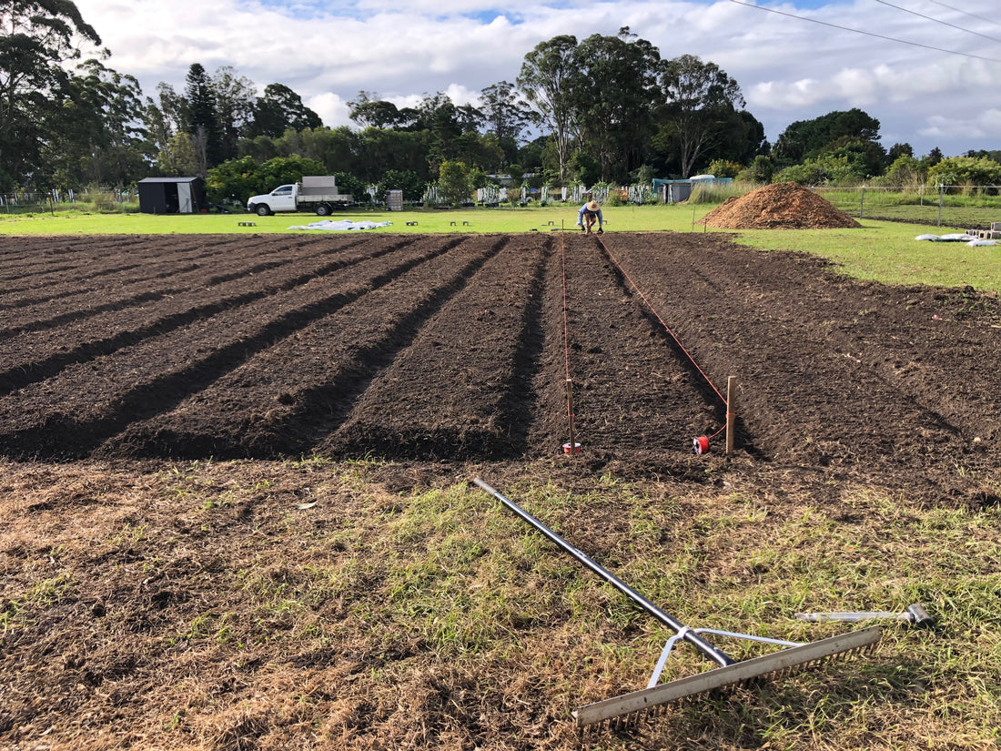 Breaking Ground At Rainbird Farm