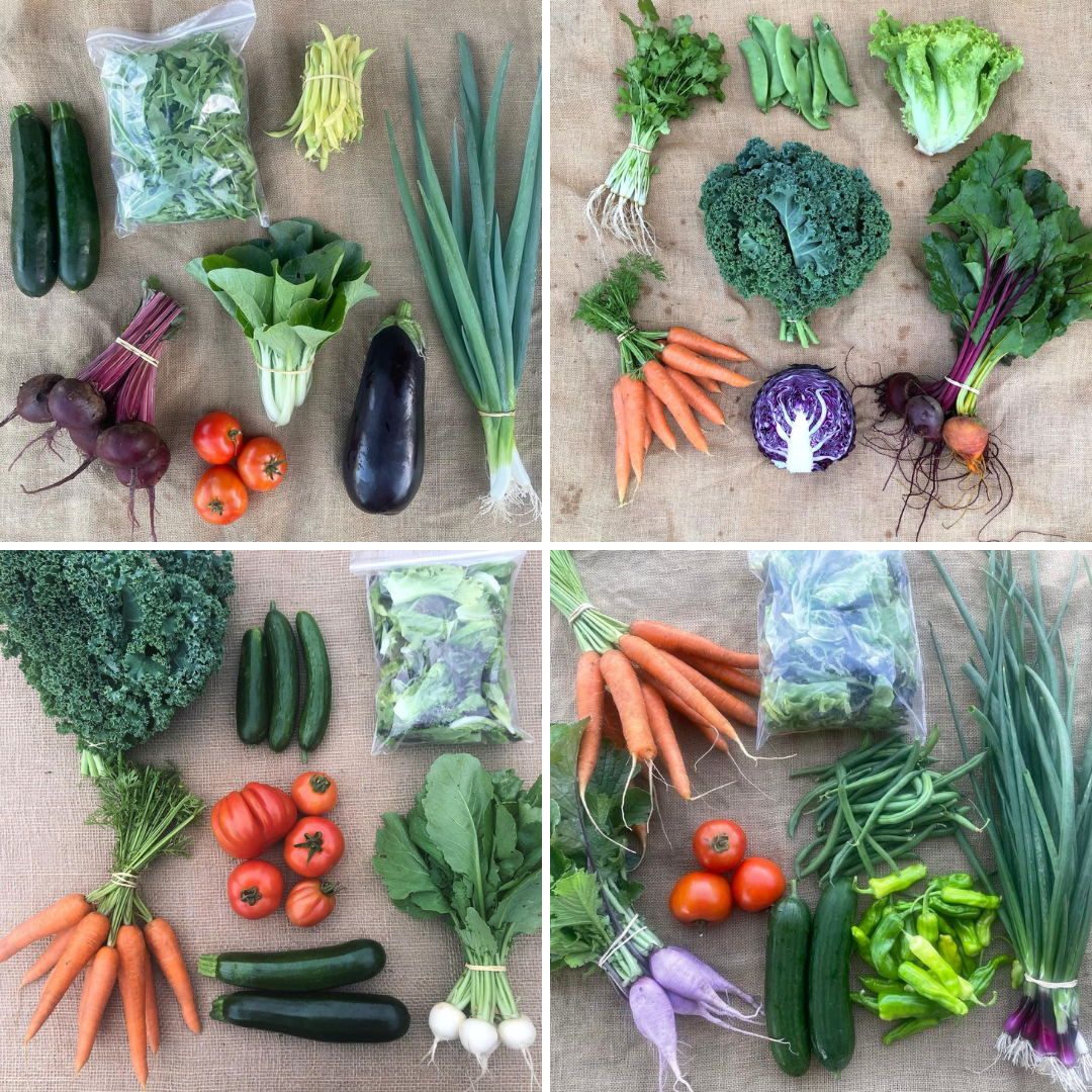 Spring Vegetable Subscription - Pre Order