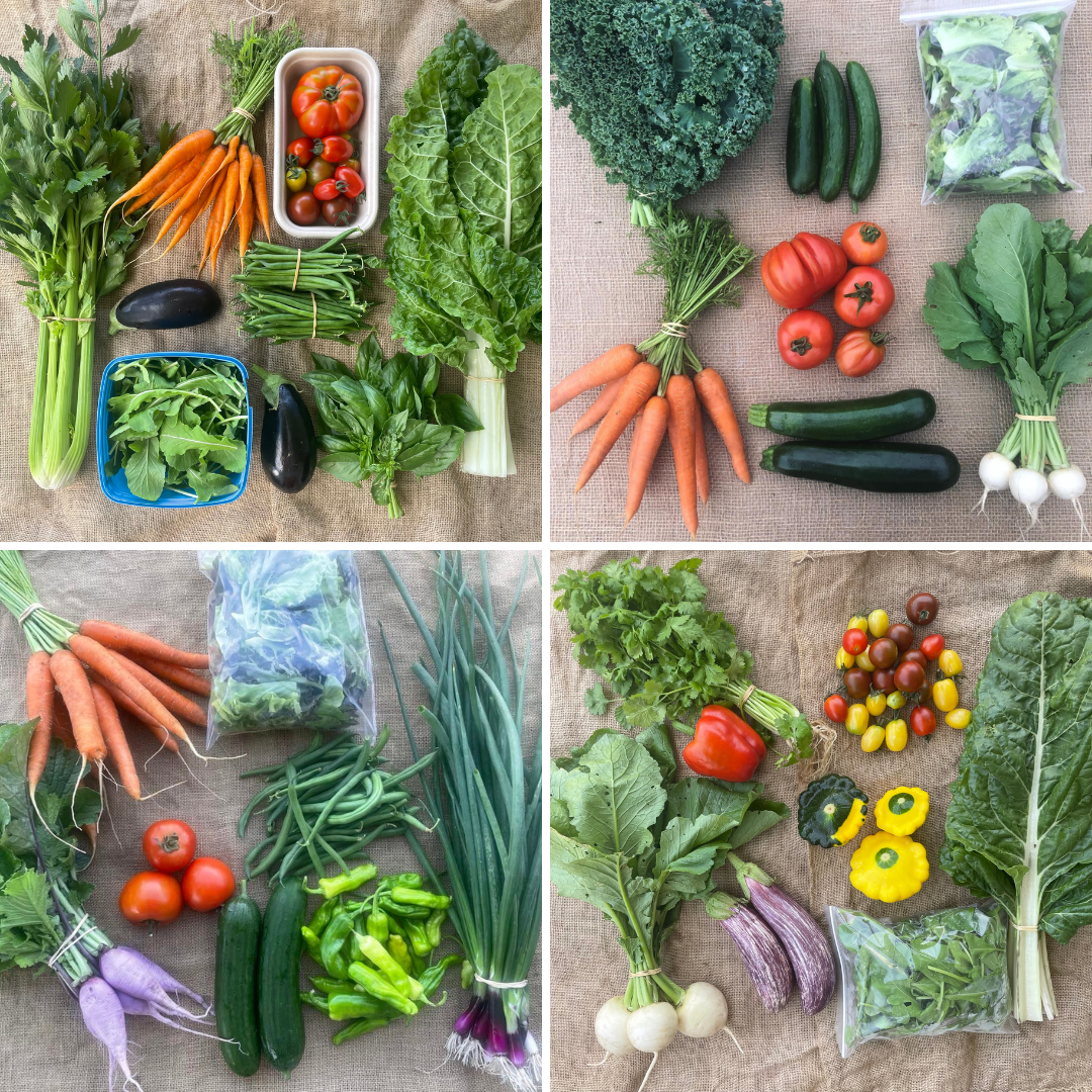 Summer Veggie Subscription  Pre-Order