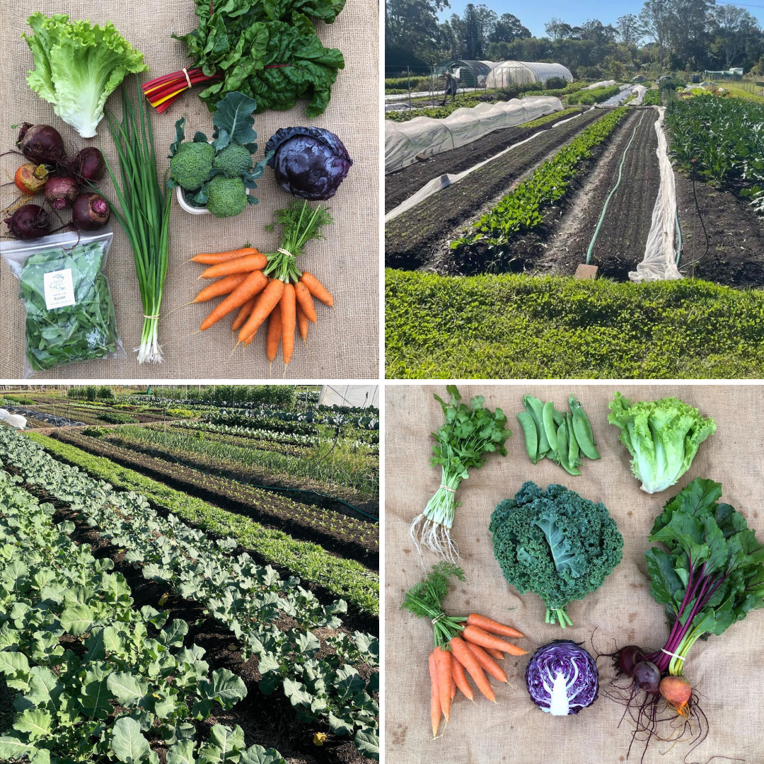 Winter Veggie Subscription  Pre-Order
